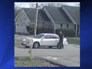 Suspect Steals Family Dog