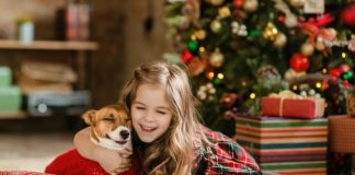 Dog Safety for Holidays