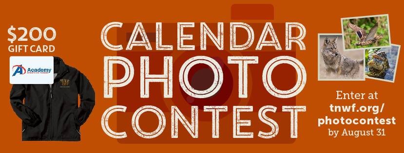 It’s back! the Tennessee Wildlife Federation calendar photo contest is officially open!