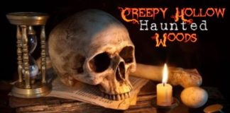 creepy-hollow-haunted-woods