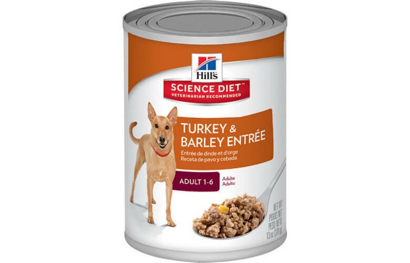 Hill S Prescription Diet And Science Diet Dog Food Recall