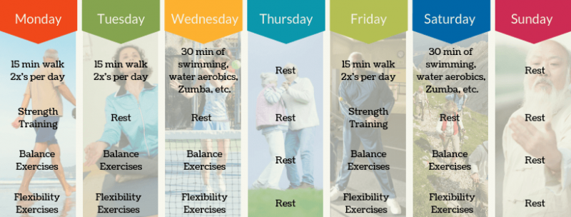 weekly exercise routine for seniors