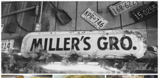 millers grocery