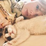 taylor swift and cat