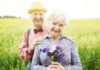 Stay Healthy This Summer Tips for Seniors