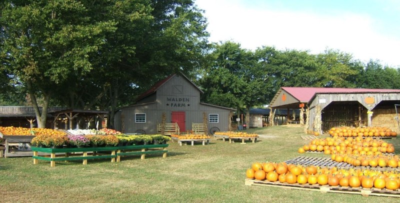 Walden Farm