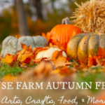 Fivesense farm autumn festival