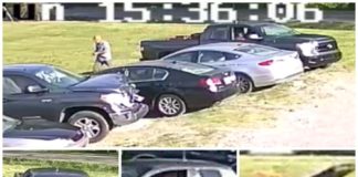 Suspect Steals Tailgate from Smyrna Auto World