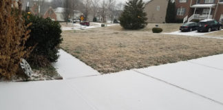 snow pic from michael