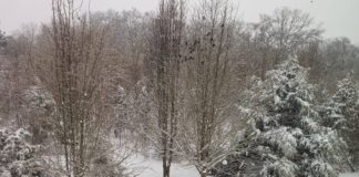 snow picture from Kendra McMahan