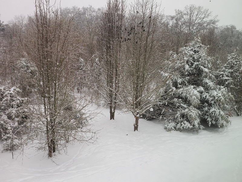 snow picture from Kendra McMahan