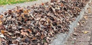 La Vergne Prepares for First Leaf Litter Collection