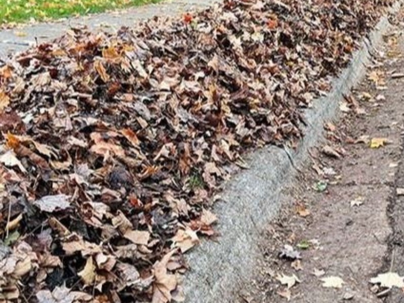 La Vergne Prepares for First Leaf Litter Collection