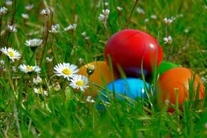 Easter Egg Stock Photo 
