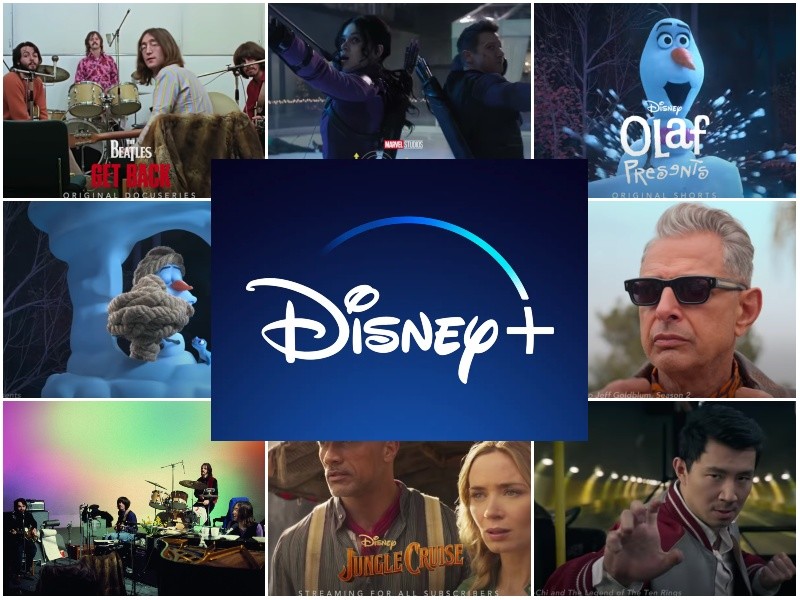 Everything Coming to Disney Plus in November 2021 Rutherford Source