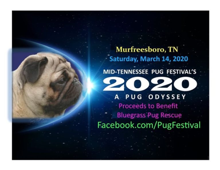 Festival Celebrates All Things Pug Rutherford Source