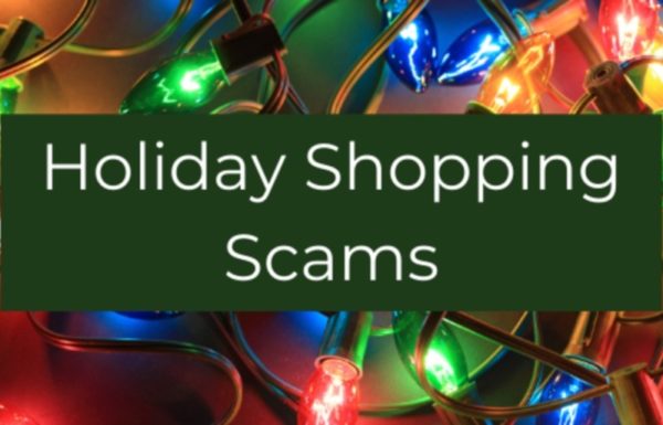 Tips To Avoid Holiday Shopping Scams - Rutherford Source