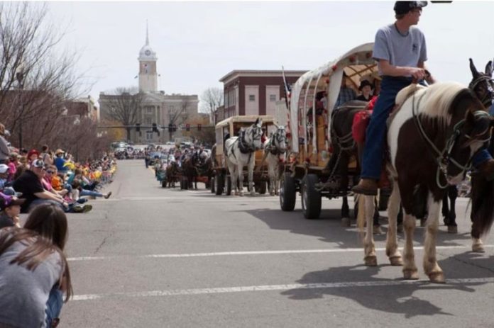 mule-day