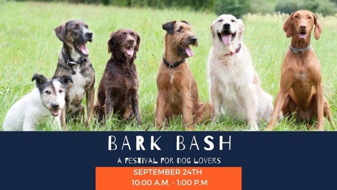 Bark-Bash