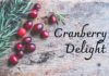 Our Favorite Holiday Recipes: Cranberry Delight