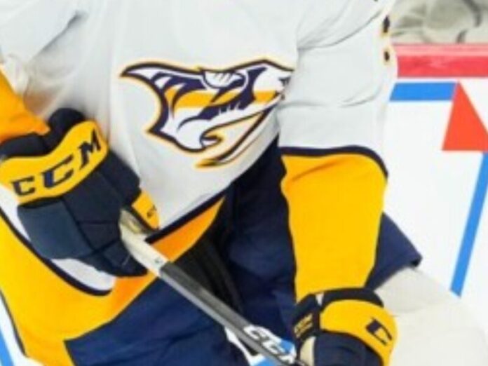 nashville preds closeup