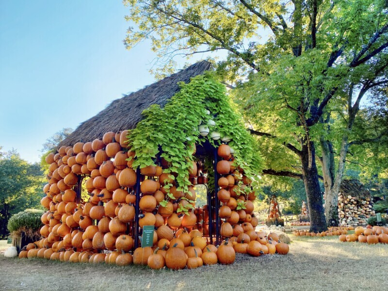 https://rutherfordsource.com/wp-content/uploads/2023/09/Cheekwood-Harvest-2021.jpg