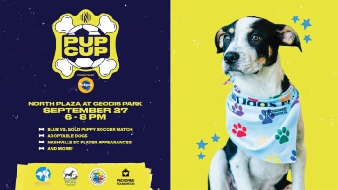 Nashville SC Announces Head Coaches for Inaugural Pup Cup Presented by Mars Petcare and the Pedigree® Brand