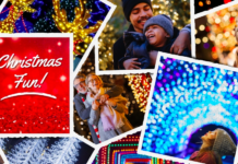 Lucky Ladd Farms’ Holly Jolly Festival of Lights Begins This Week