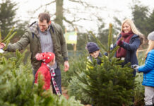 Rutherford Weekend: 5 Happenings This Weekend