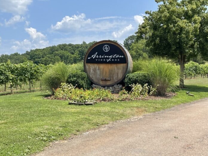 arringtonvineyards-11-1
