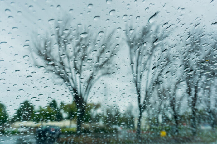 Drops of rain on the window; blurred trees in the background; sh
