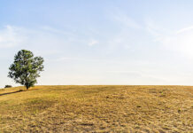 11/23/25: Clear Sky and Mild at 62°F in Rutherford County