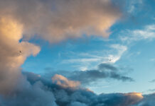 11/23/25: Overcast Morning in Rutherford County, Temp Rises to 59 Later