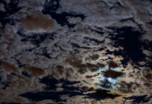 11/22/25: Overcast Evening in Rutherford, Current 57°, Light Drizzle Earlier