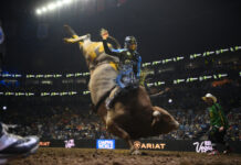 Nashville Stampede to Return to Bridgestone Arena