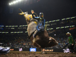 Nashville Stampede to Return to Bridgestone Arena