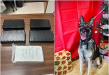 Rutherford County Sheriff’s Detectives Earn Tennessee Narcotics Officers Association Awards