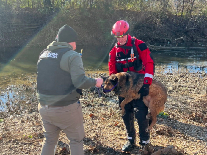 Dog-From-Stones-River