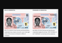 TSA Introduces New $45 Fee Option for Travelers Without REAL ID Starting February 1