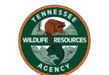 2026 Spring Turkey Quota Hunts Application Held Now Through January 7