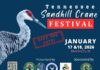 Tennessee Sandhill Crane Festival to Celebrate 35th Anniversary January 17-18