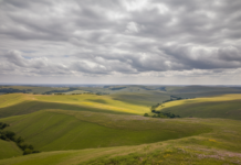 2/17/26: Partly Cloudy Morning in Rutherford County, 44°F, High 65 Today