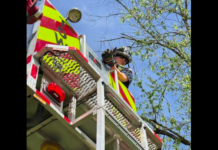 Firefighters Rescue Injured Bird In La Vergne