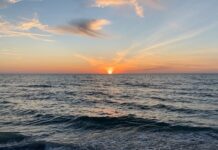 OBITUARY: Howard Eugene Pitts obit88