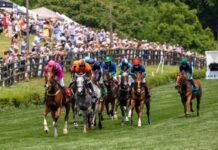 Here’s What You Need to Know About Steeplechase 2026