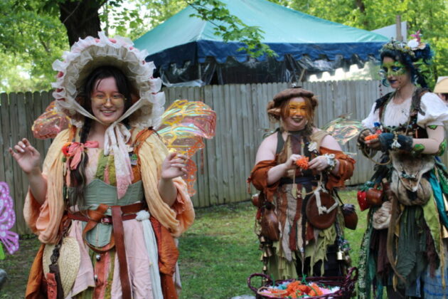 tennessee renaissance festival 2026