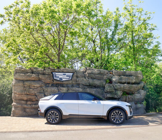 Nashville Zoo Partners With Middle Tennessee Cadillac Dealers in New Community Initiative