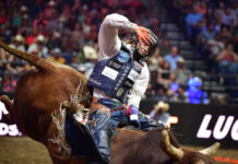 Nashville Stampede Brings Professional Bull Riding to Bridgestone Arena