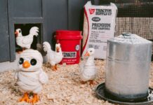 Tractor Supply Company Launches Farm-Inspired Halloween 2026 Collection Tractor Supply kicks off spooky season with Halloween Out Here collection.
