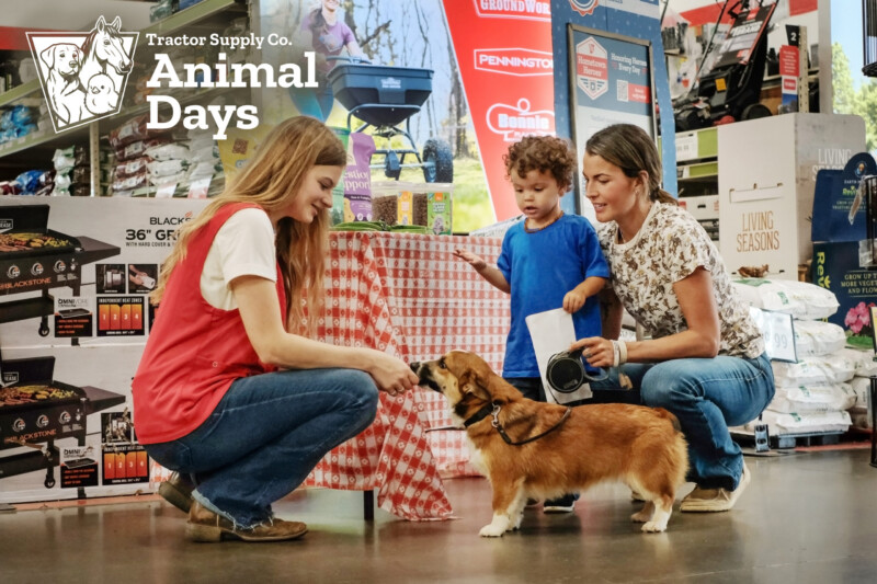 Tractor Supply and Miranda Lambert's MuttNation Bring Back Animal Days